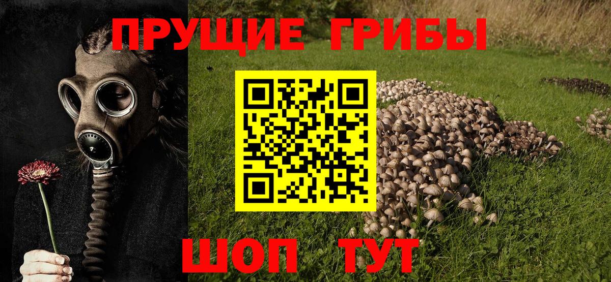 Псилоцибиновые грибы мицелий  где купить наркоту  Вход с VPN  Чистополь  Галлюциногенные грибы MAGIC MUSHROOMS 